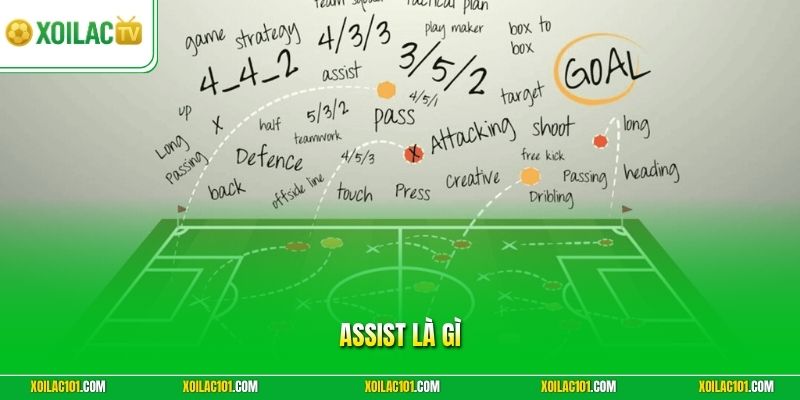 Assist Là Gì - Khám Phá Vai Trò Kiến Tạo Số 1 Trong Bóng Đá