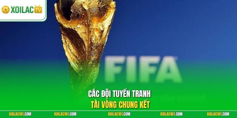 World Cup Là Gì - Ngày Hội Bóng Đá Của Các Châu Lục Bùng Nổ 2 Các đội tuyển tranh tài vòng chung kết