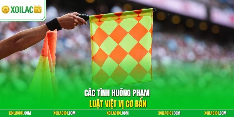 Luật Việt Vị Trong Bóng Đá - Giải Mã Nhanh Trên Trang Thể Thao 2 Các tình huống phạm luật việt vị cơ bản