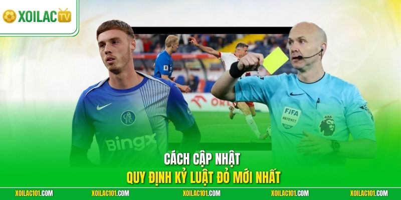 Luật Thẻ Vàng Thẻ Đỏ - Xoilac Cập Nhật Tiêu Chuẩn Mới 3 Cách cập nhật quy định kỷ luật đỏ mới nhất