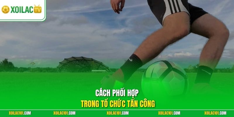 Kỹ Thuật Chuyền Bóng Ngắn, Chuyền Dài | Bí Quyết Kiến Tạo 2 Cách phối hợp trong tổ chức tấn công