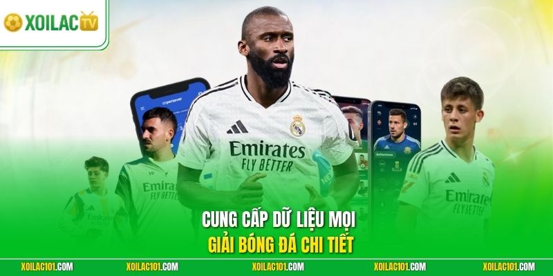 Cung cấp dữ liệu mọi giải bóng đá chi tiết 