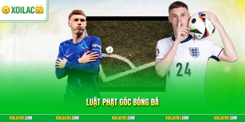 Luật Phạt Góc Bóng Đá - Tổng Hợp Các Quy Định Tại Xoilac