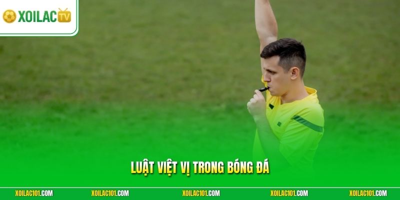 Luật Việt Vị Trong Bóng Đá - Chi Tiết Quy Định Tại Xoilac