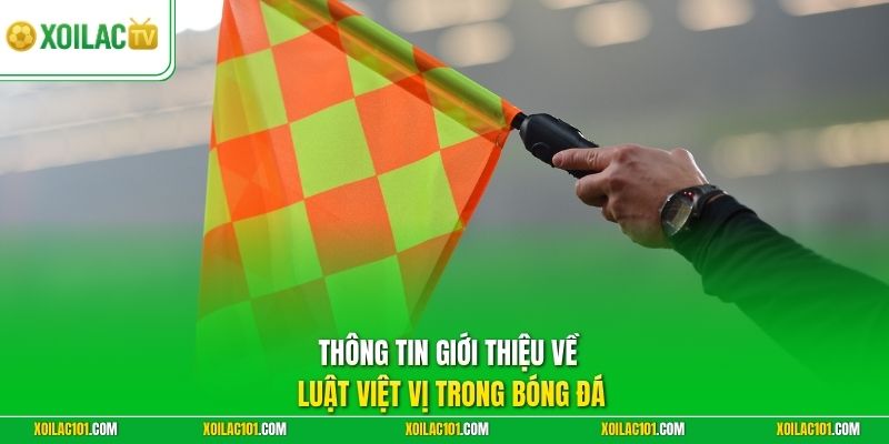 Luật Việt Vị Trong Bóng Đá - Giải Mã Nhanh Trên Trang Thể Thao 1 Thông tin giới thiệu về luật việt vị trong bóng đá