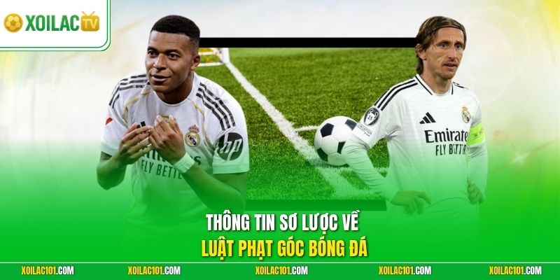 Luật Phạt Góc Bóng Đá - Hướng Dẫn Đọc Chi Tiết Từ A-Z 1 Thông tin sơ lược về luật phạt góc bóng đá