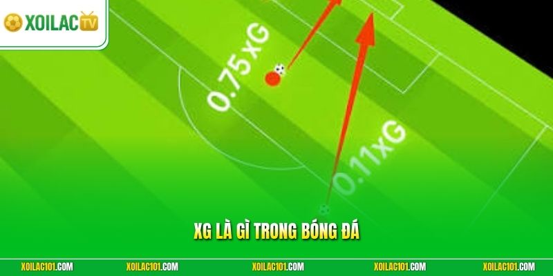 xG Là Gì Trong Bóng Đá | Chỉ Số Bàn Thắng Kỳ Vọng Cần Biết