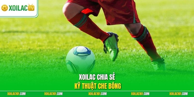 Kỹ Thuật Che Bóng Hiệu Quả Tăng Lợi Thế Trong Mọi Tình Huống 1 Xoilac chia sẻ kỹ thuật che bóng