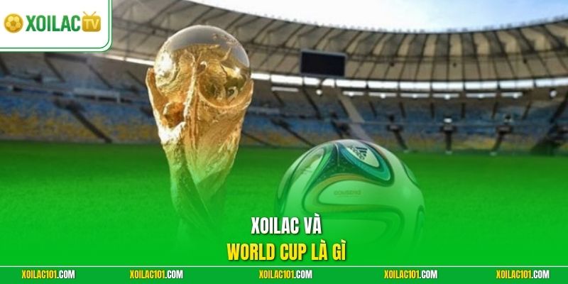World Cup Là Gì - Ngày Hội Bóng Đá Của Các Châu Lục Bùng Nổ 1 Xoilac và World Cup là gì